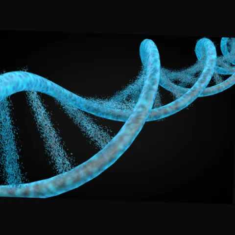 DNA Helix