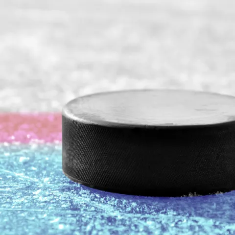 A hockey puck sitting on the ice of a hockey rink.