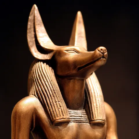 an anubis statue