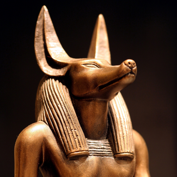 an anubis statue